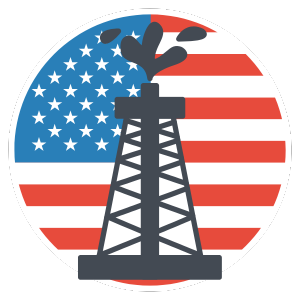 Asset Diversify Icon